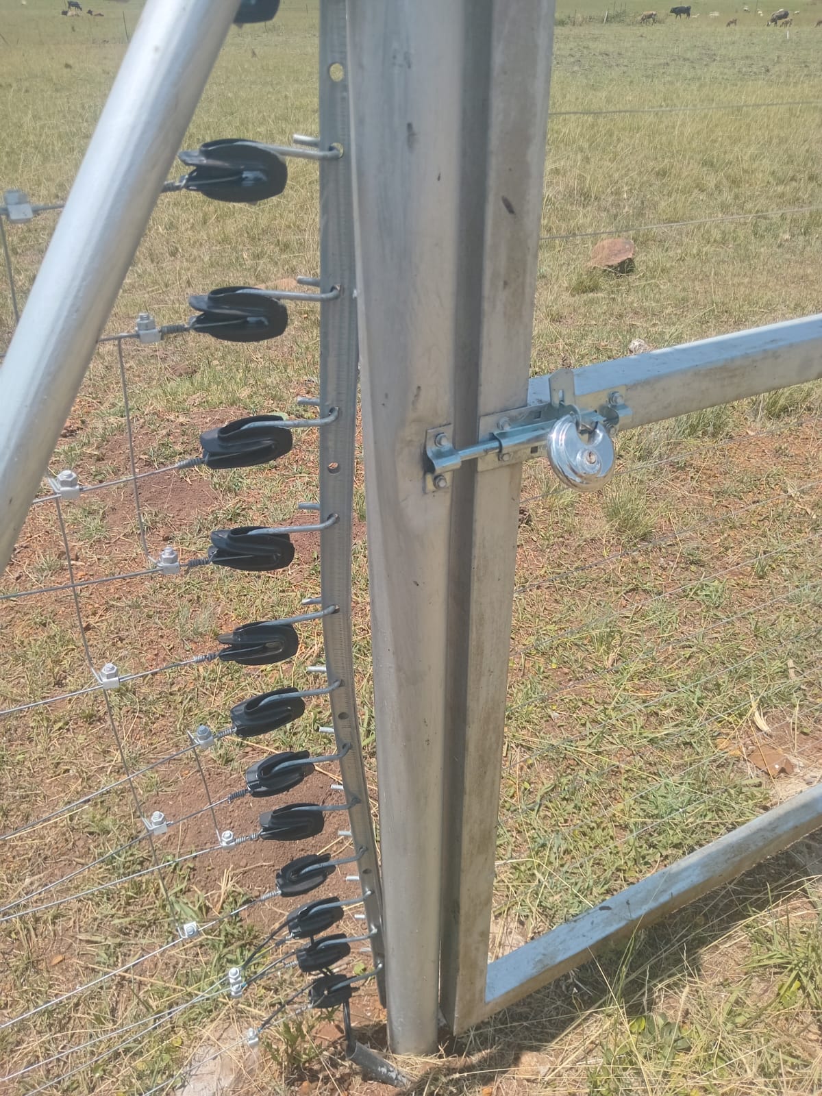 Cow Damage to Fence