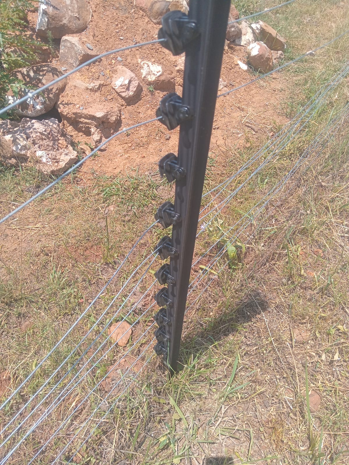 Cow Damage to Fence - Meyerton