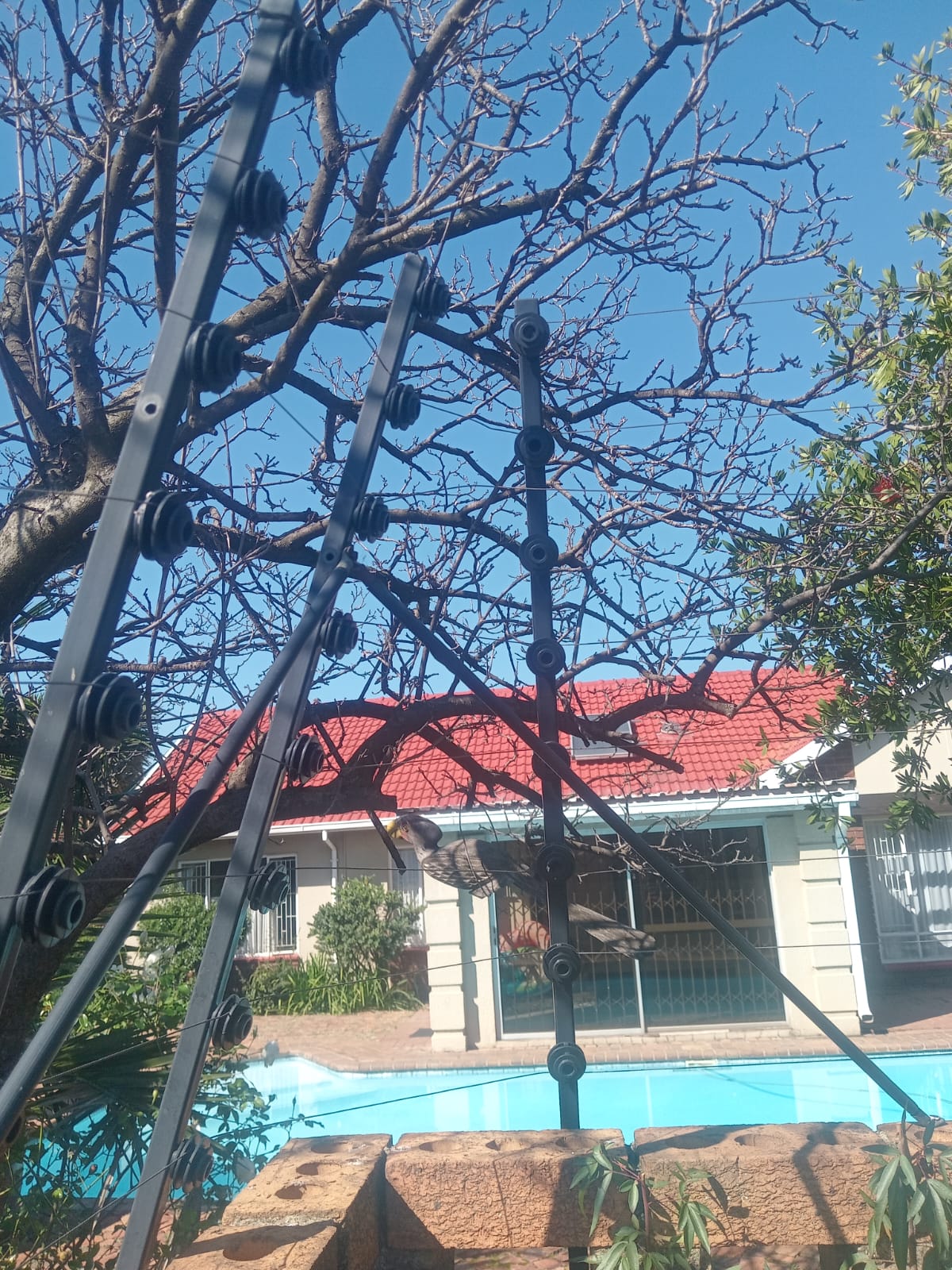Fence Repair - Brackendowns Alberton