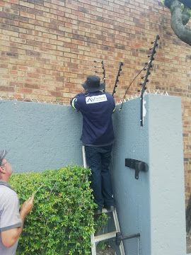 Repair Fence - Alberton