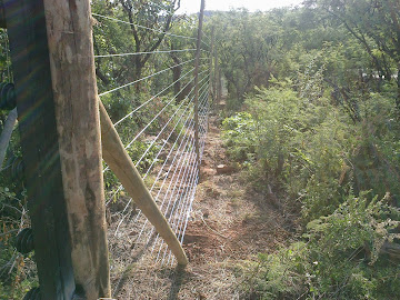 Wood electric fencing around Hotel