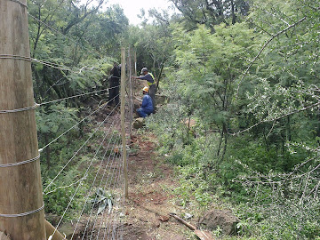 Wood electric fencing around Hotel - Johannesburg South