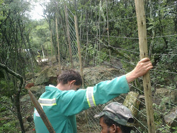 Wood electric fencing around Hotel - Johannesburg South