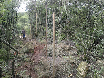Wood electric fencing around Hotel - Johannesburg South